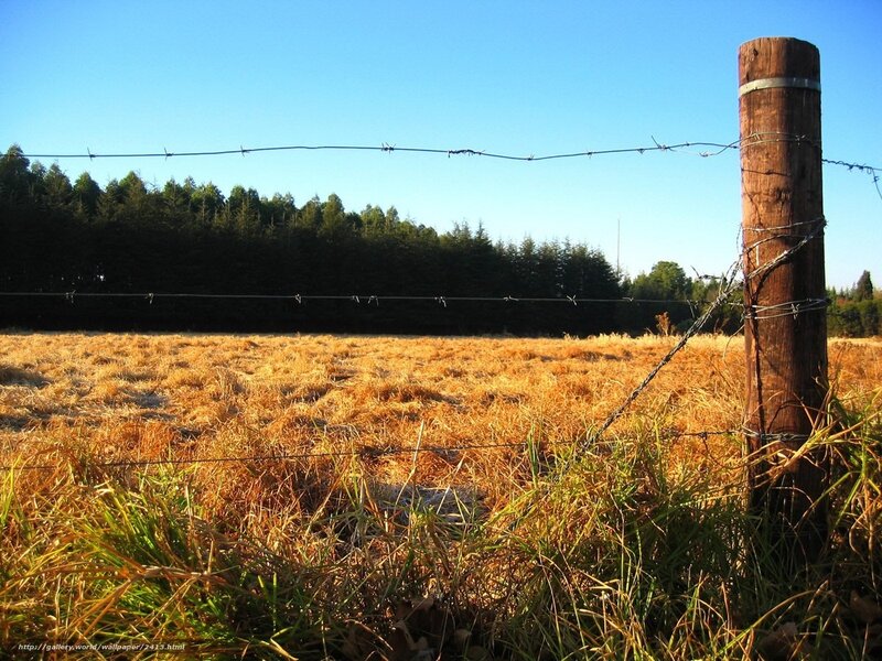 Barbed wire fence in a field