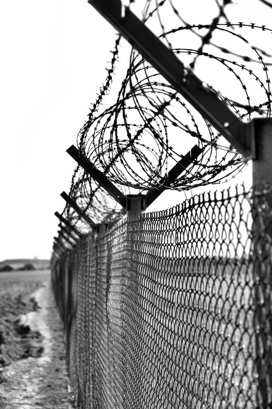 barbed wire fence in black and white