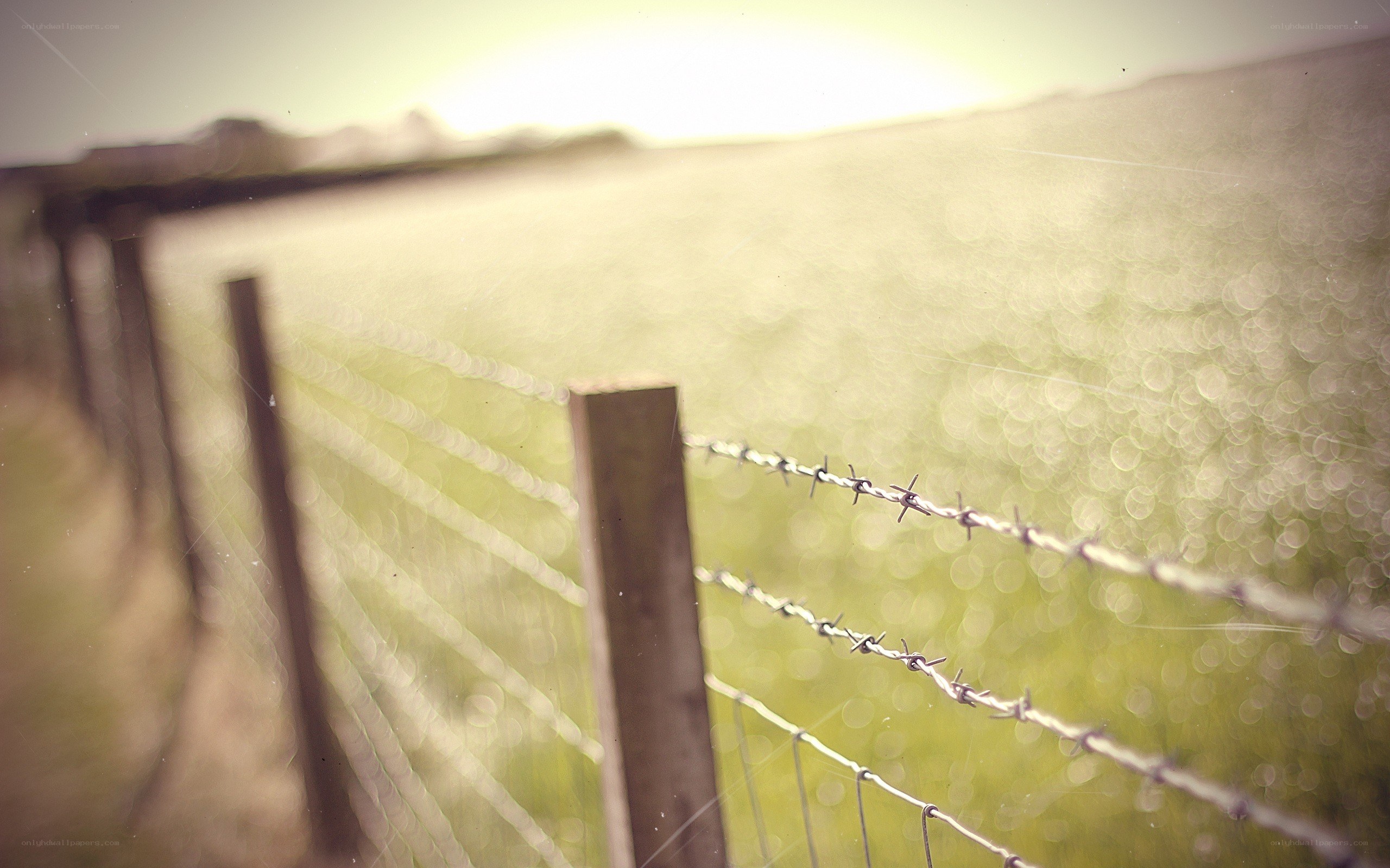barbed wire fence in field