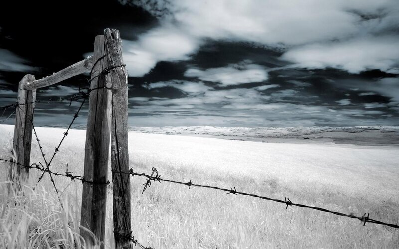 Barbed Wire Fence in Field — Black, Dramatic