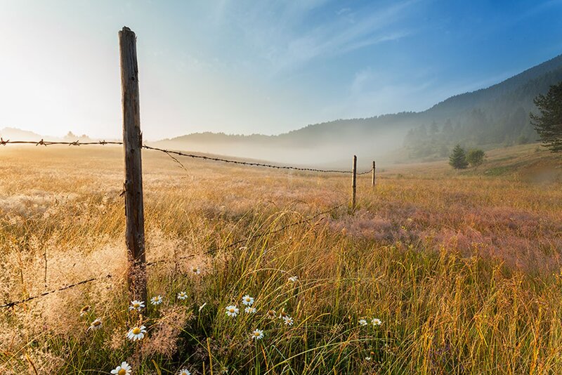 Barbed Wire Fence in Field — Blue