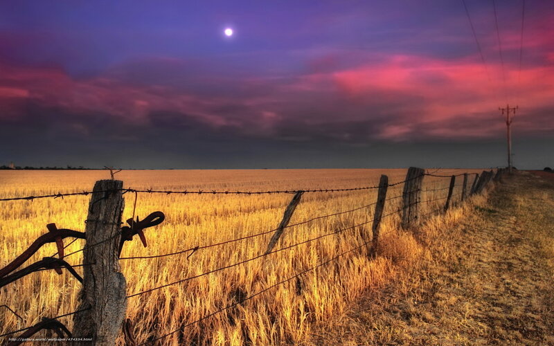 Barbed Wire Fence in Field — Purple, Dramatic, Night, Photograph