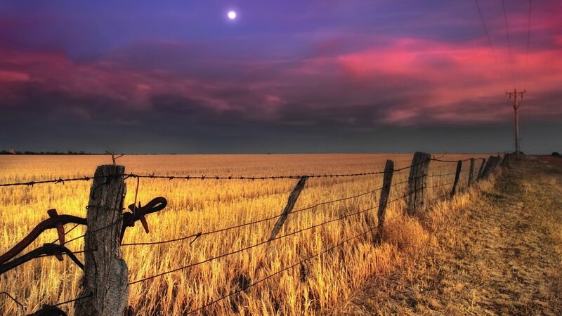 Barbed Wire Fence in Field — Purple, Dramatic, Night