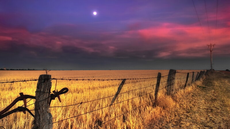 Barbed Wire Fence in Field — Purple, Dramatic