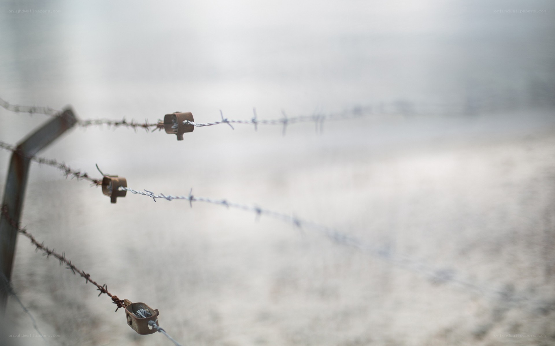 Barbed wire fence in fog