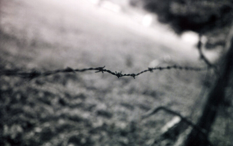 Barbed wire fence in fog