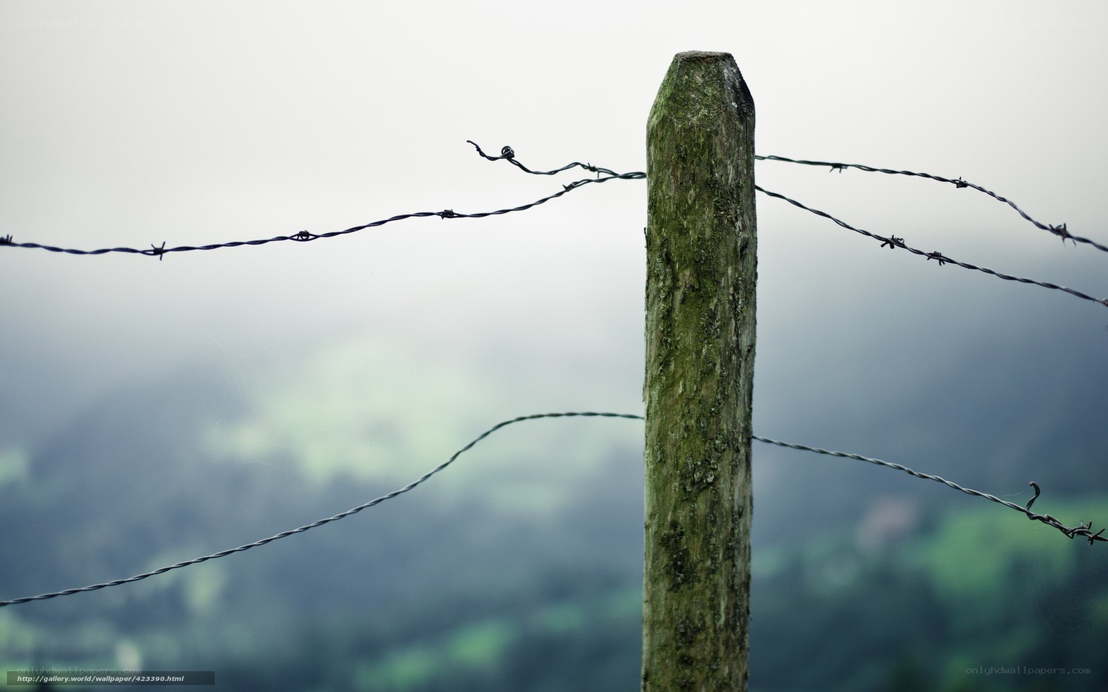 barbed wire fence in mist
