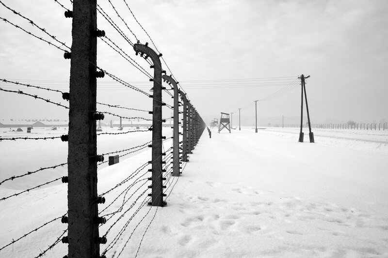 Barbed wire fence in snow
