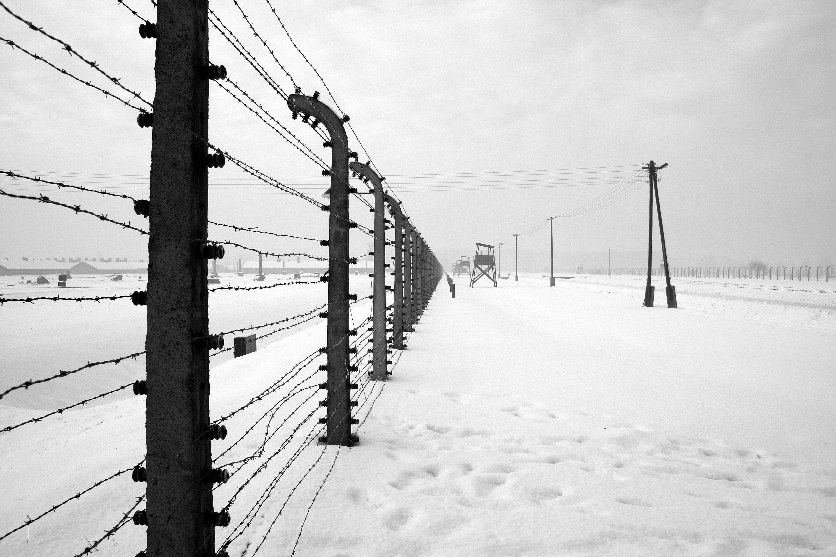 Barbed wire fence in snow