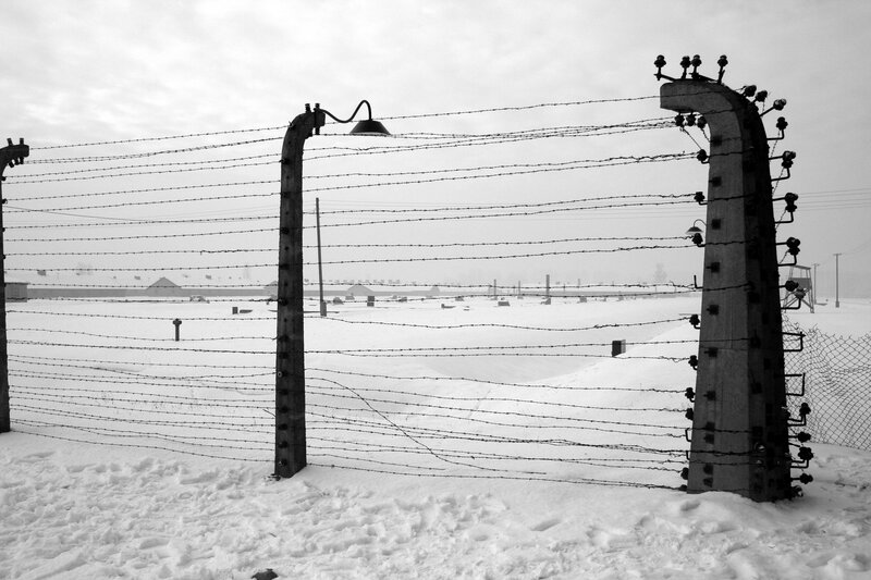 Barbed wire fence in snow