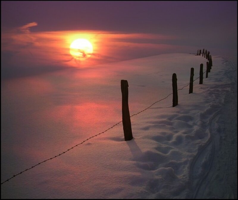 Barbed Wire Fence in Snow — Purple, Serene