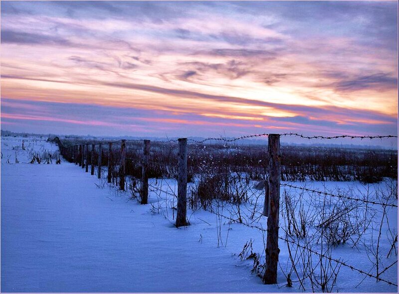 Barbed Wire Fence in Snow — Purple