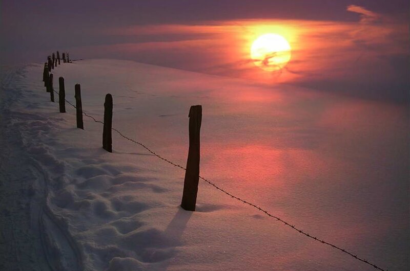 Barbed Wire Fence in Snow — Red