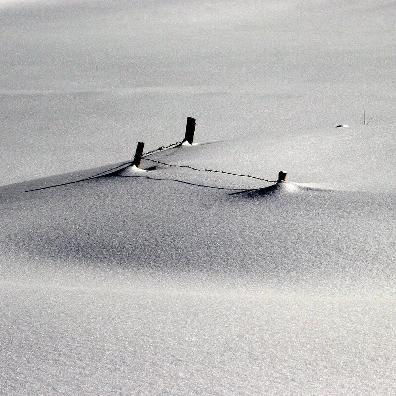 Barbed Wire Fence in Snow — White, Desolate