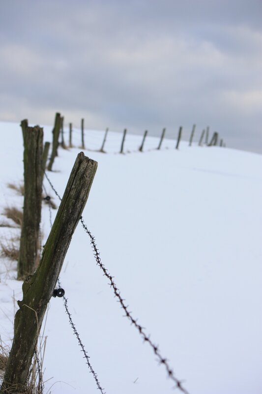 Barbed Wire Fence in Snow — White