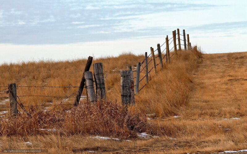 Barbed wire fence on a hill