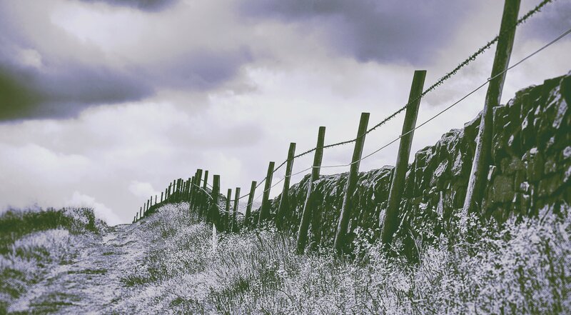 Barbed Wire Fence on Hill