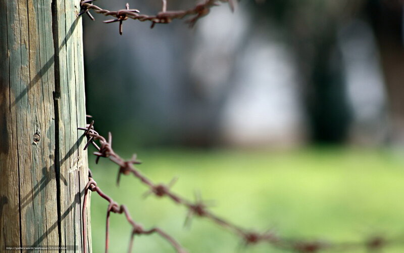 Barbed wire fence on wooden post