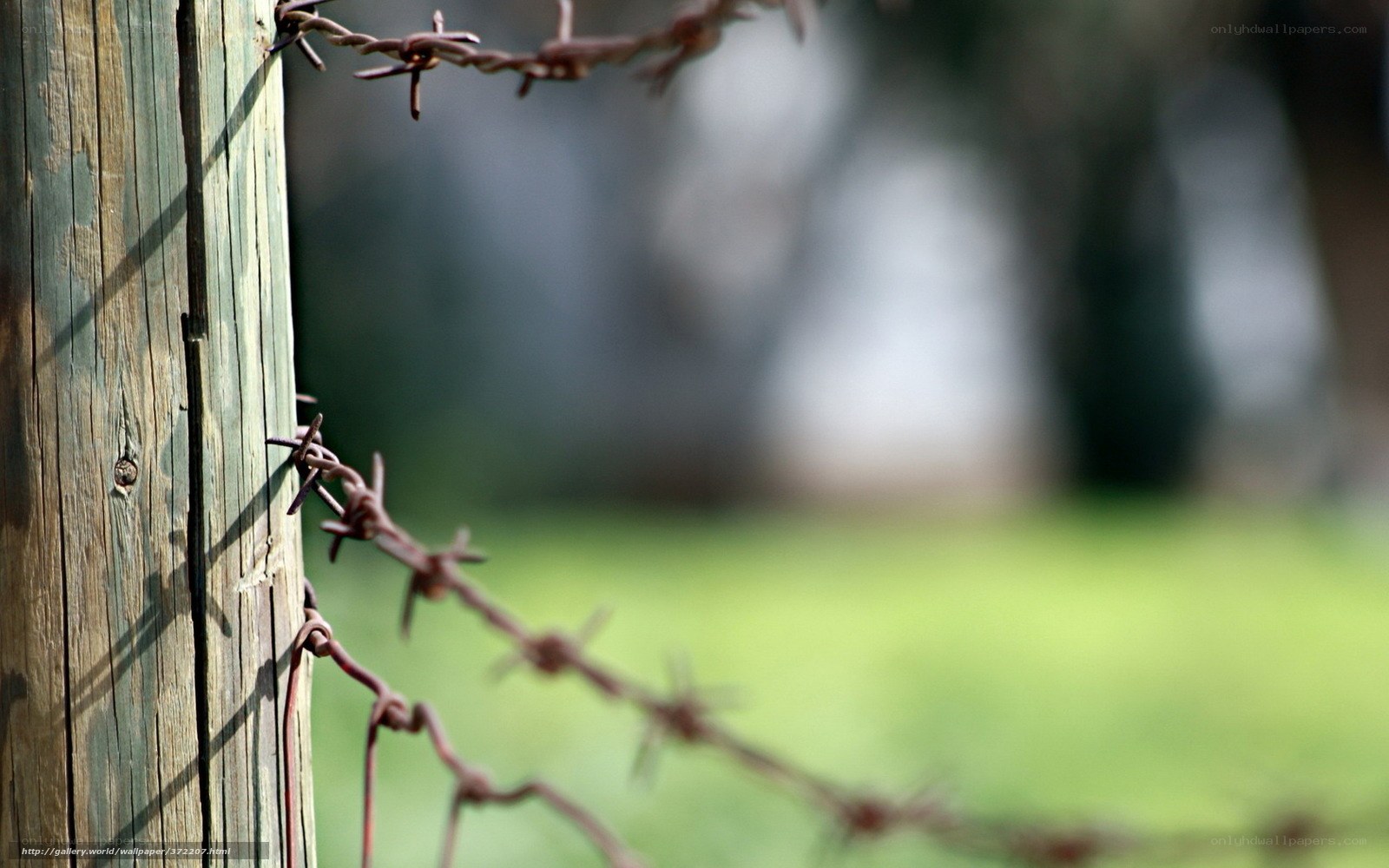 Barbed wire fence on wooden post