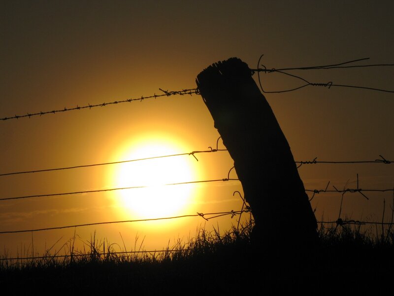 Barbed Wire Fence — Orange, Dramatic, Sunset, Photograph, Sun, Post