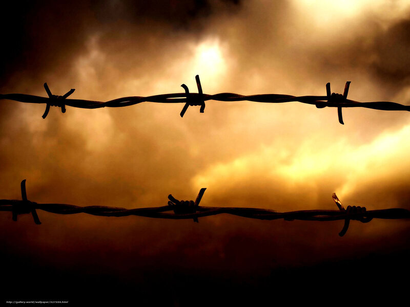 Barbed Wire Fence — Orange, Dramatic