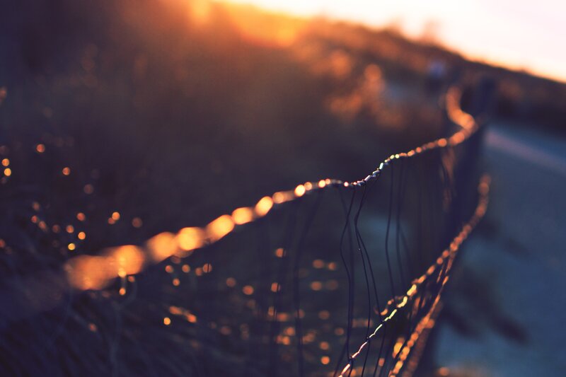 Barbed Wire Fence — Orange, Serene