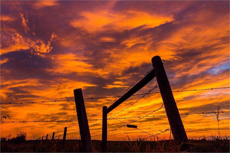 Barbed Wire Fence — Orange