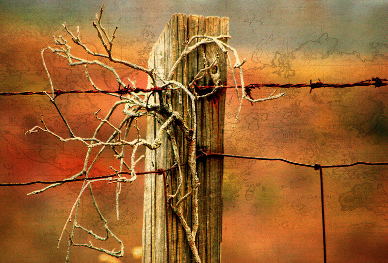 Barbed Wire Fence Post — Orange