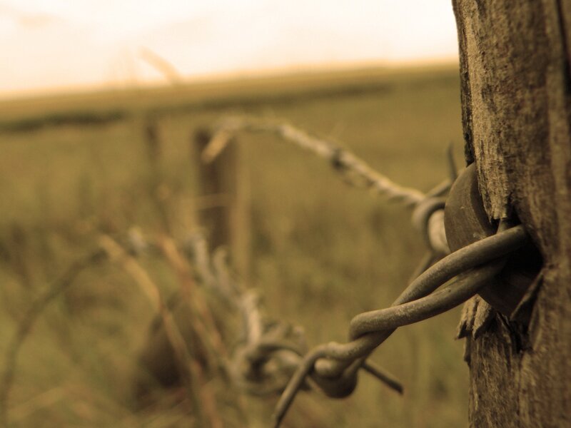 barbed wire fence post