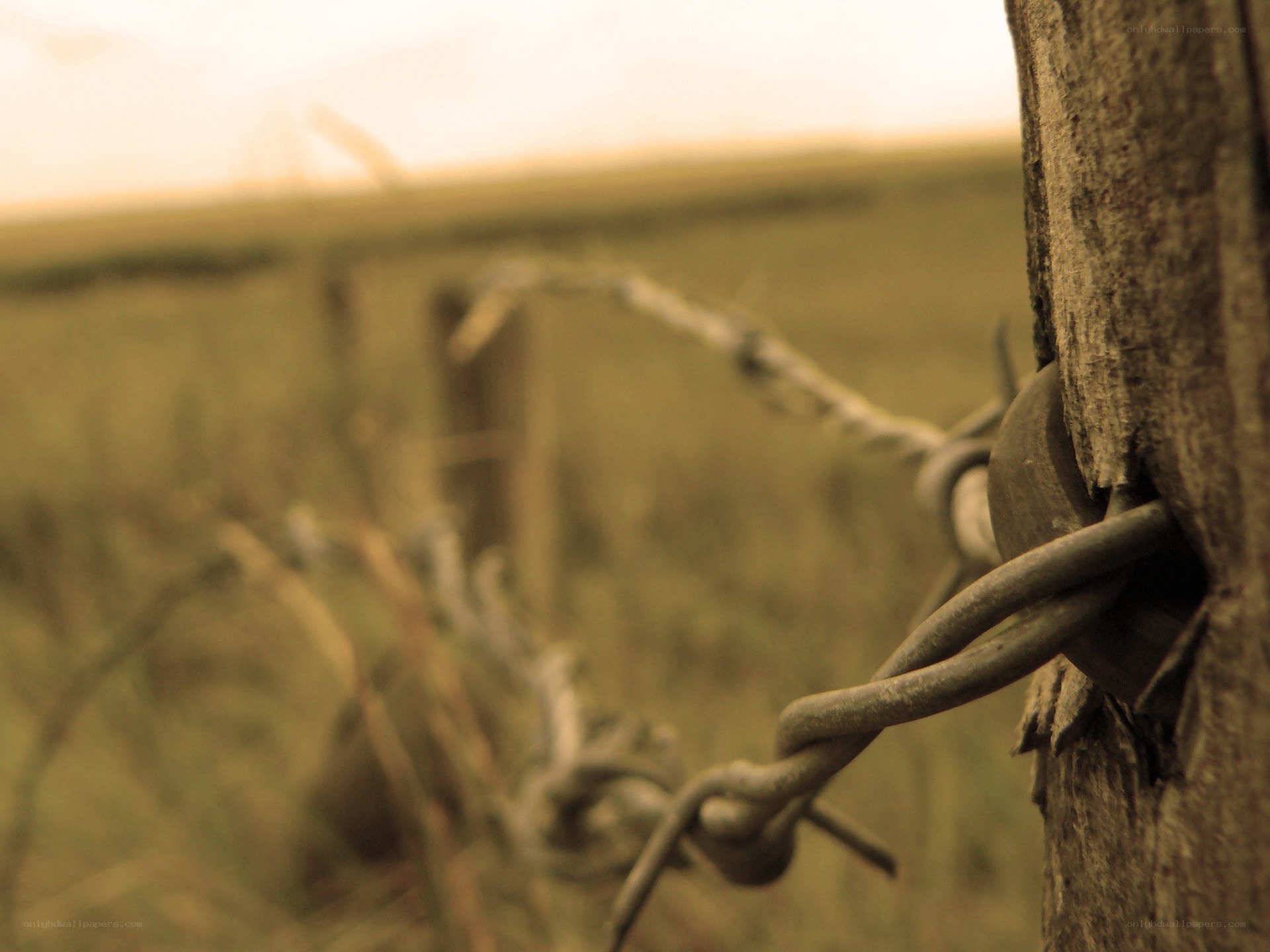 barbed wire fence post