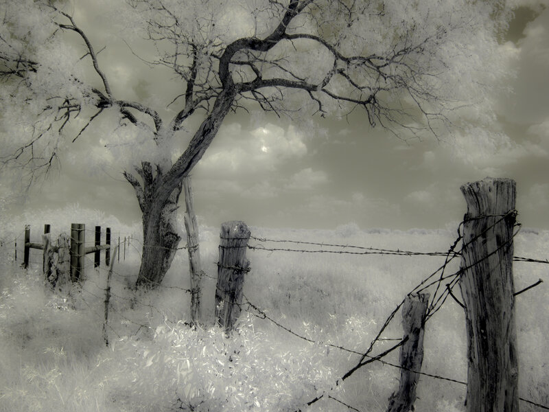 Barbed Wire Fence — White