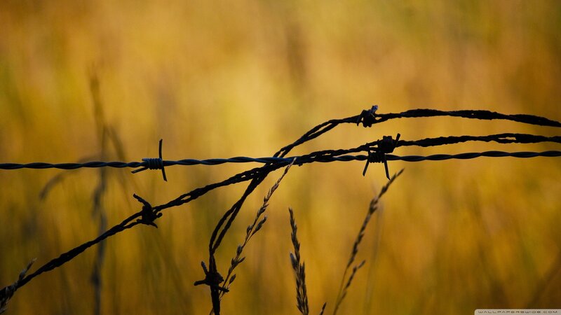 Barbed Wire Fence — Yellow