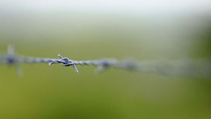 barbed wire in a field