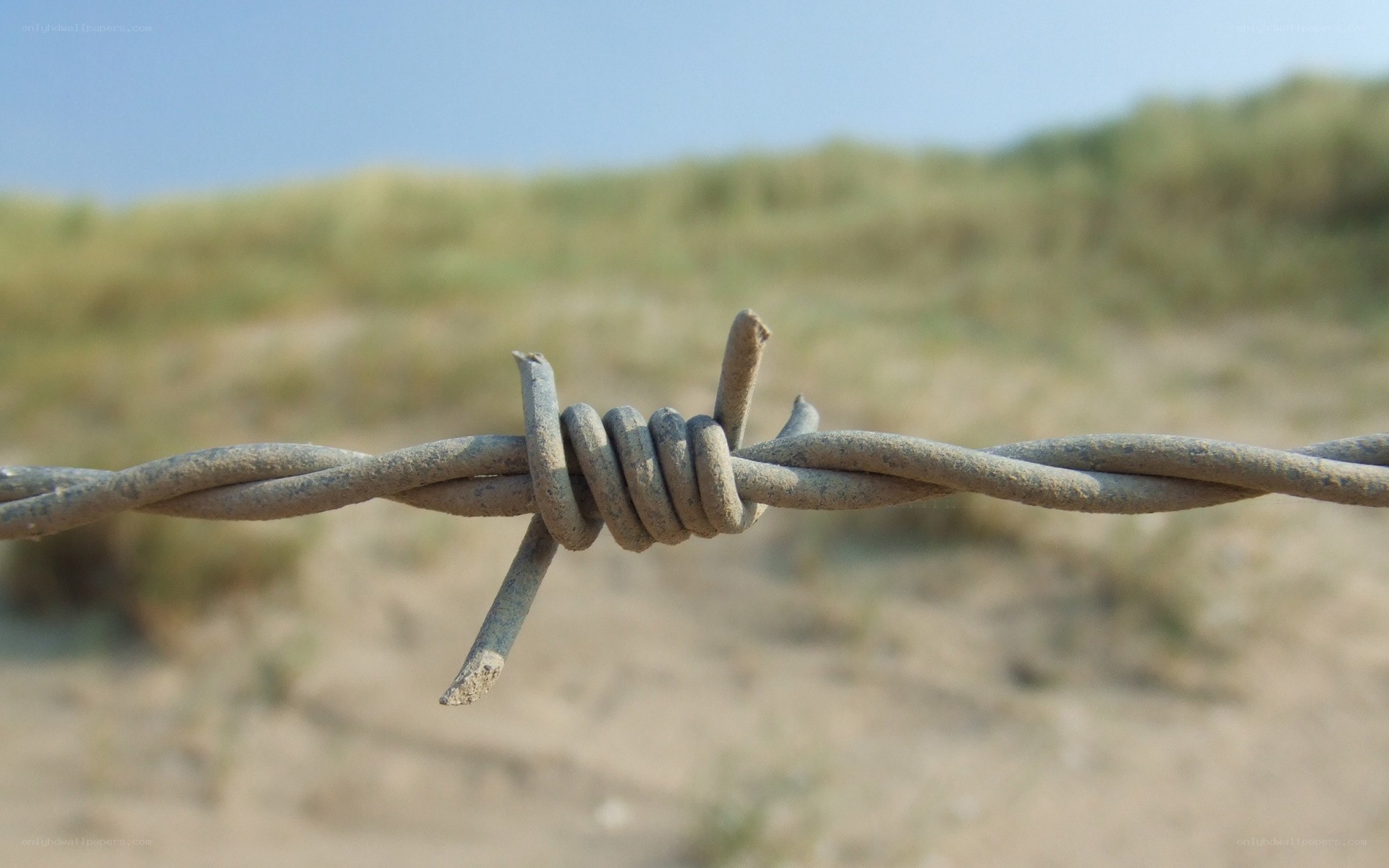 barbed wire in a sandy landscape