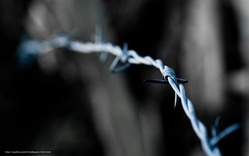 Barbed wire in focus