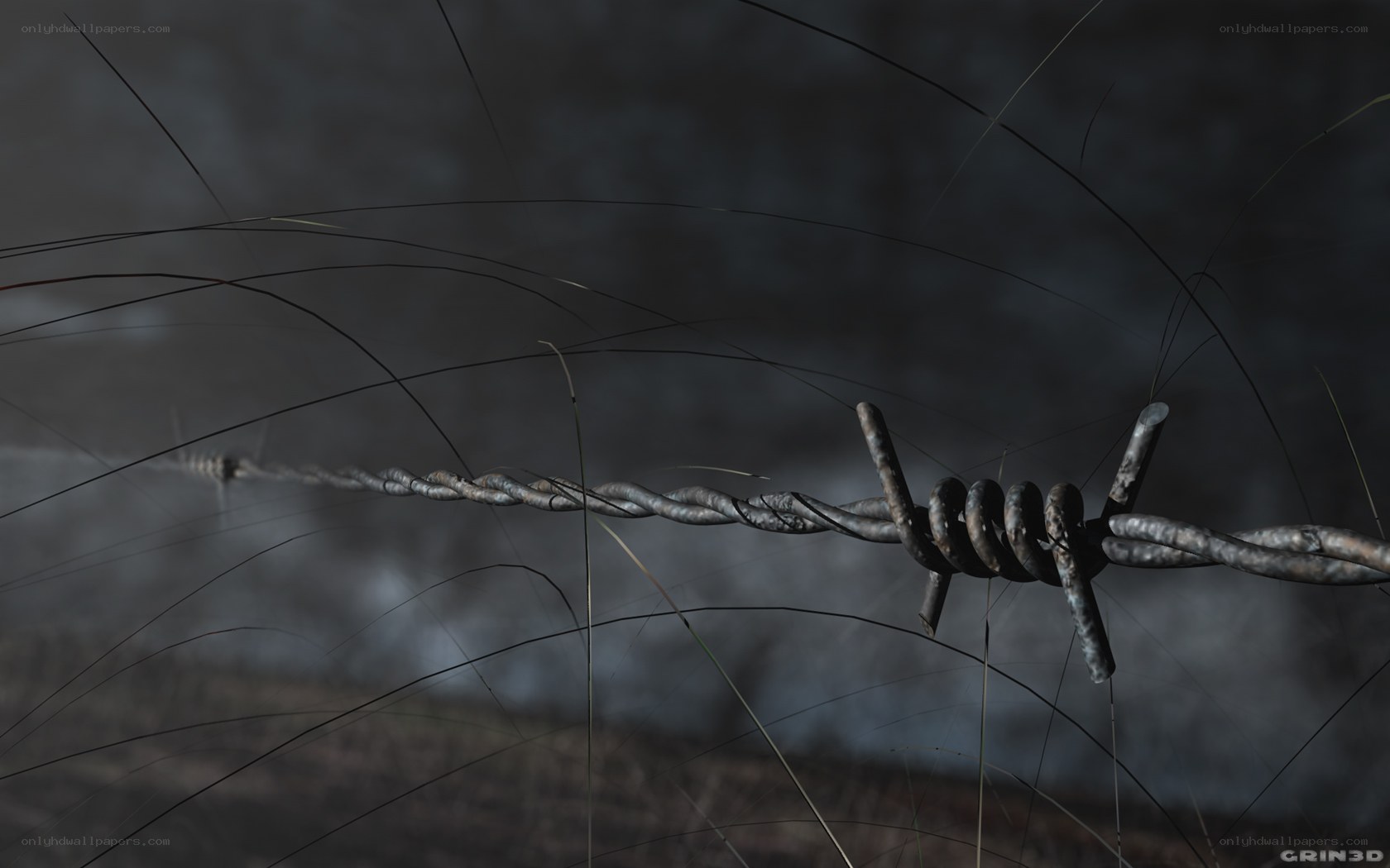 barbed wire in fog