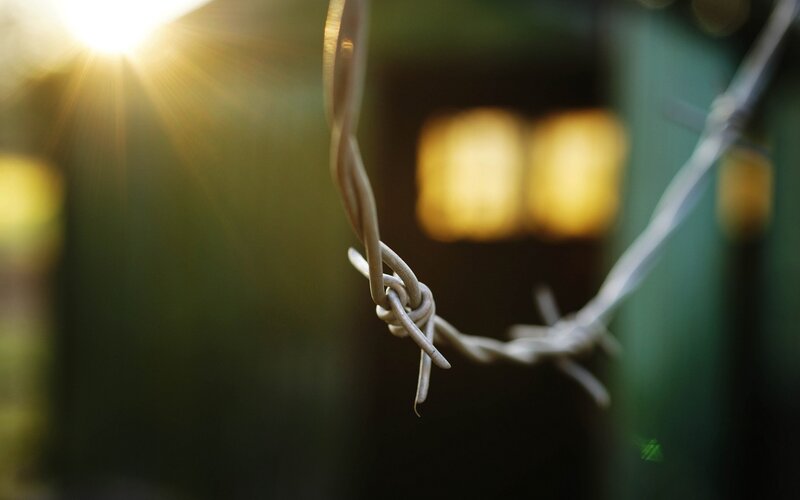 Barbed wire in sunlight