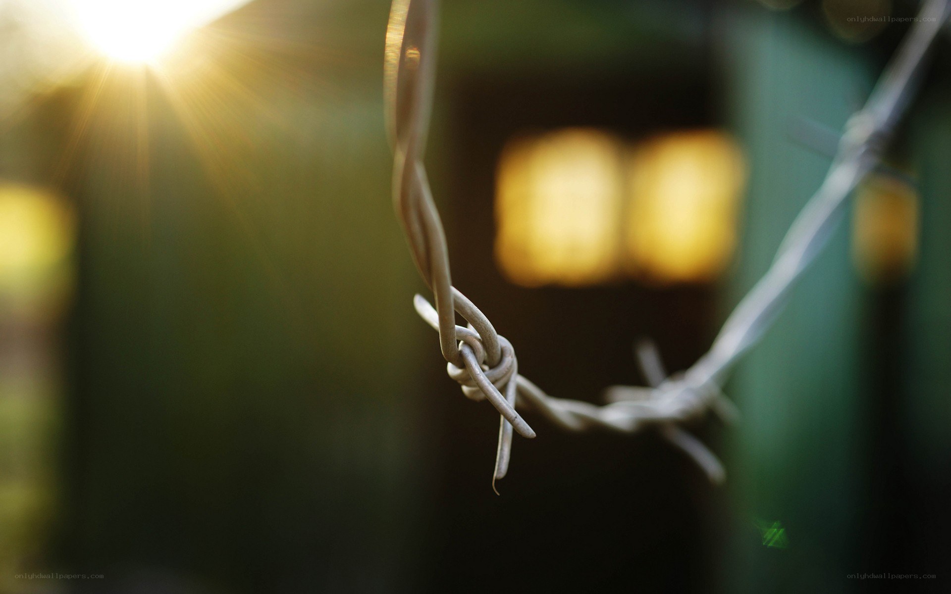 Barbed wire in sunlight