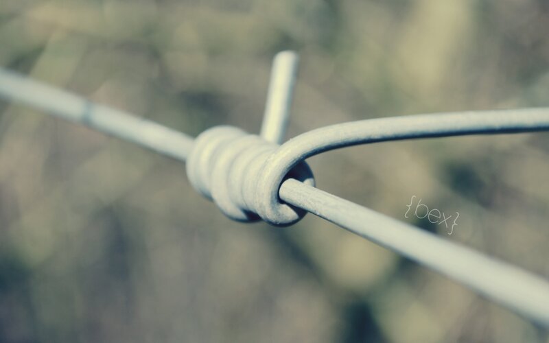 Barbed Wire Knot