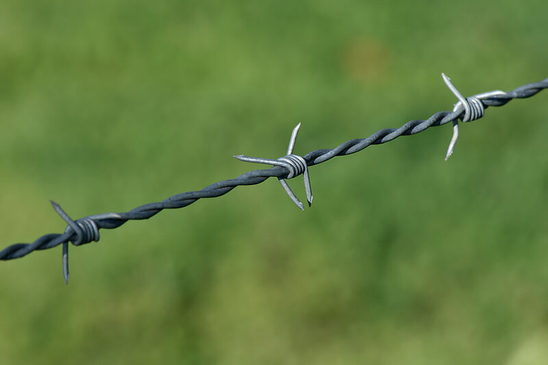 barbed wire on green background