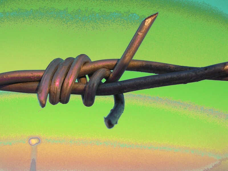Barbed Wire on Green Background — Dramatic