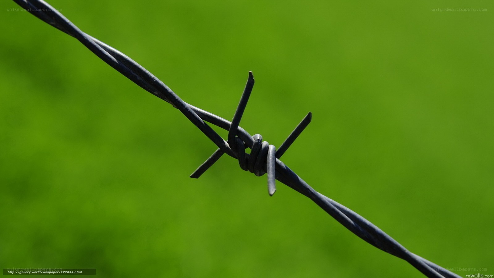 Barbed wire on green background