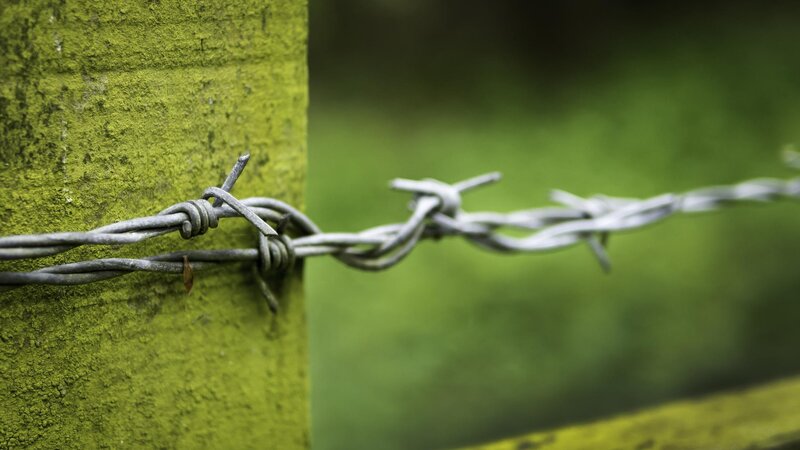 Barbed Wire on Post