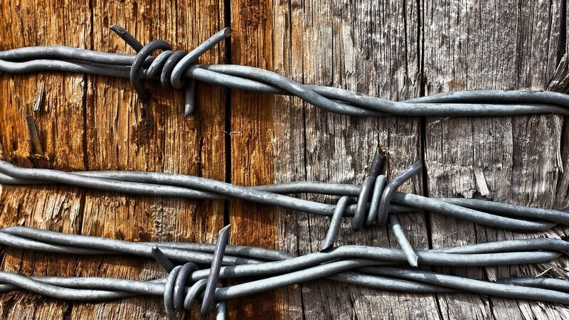 Barbed Wire on Wood