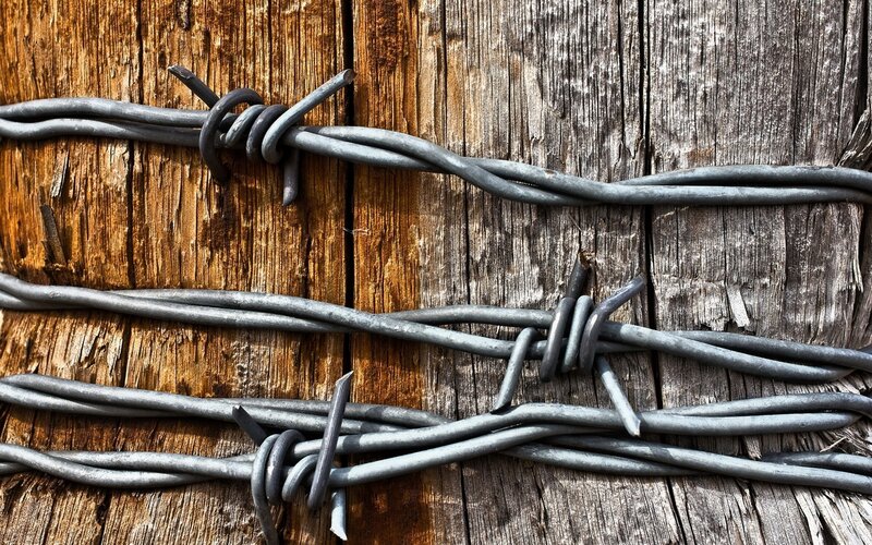 barbed wire on wooden fence