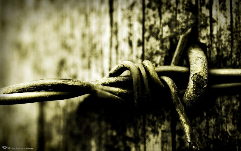 barbed wire on wooden fence