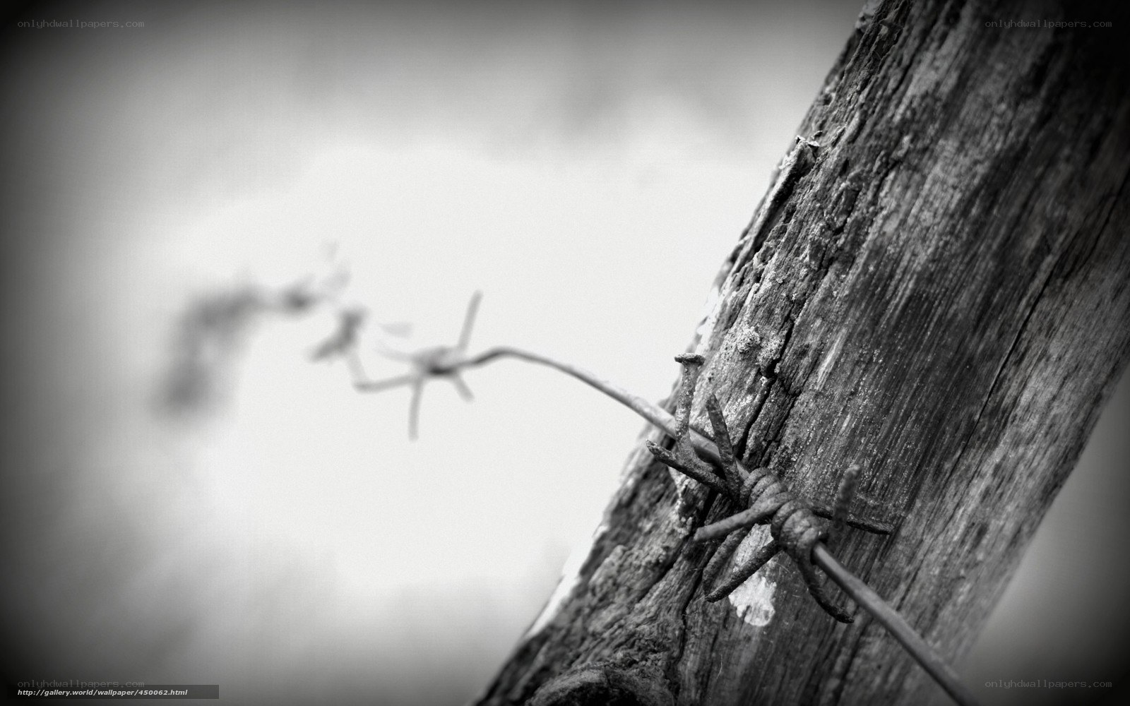 barbed wire on wooden post