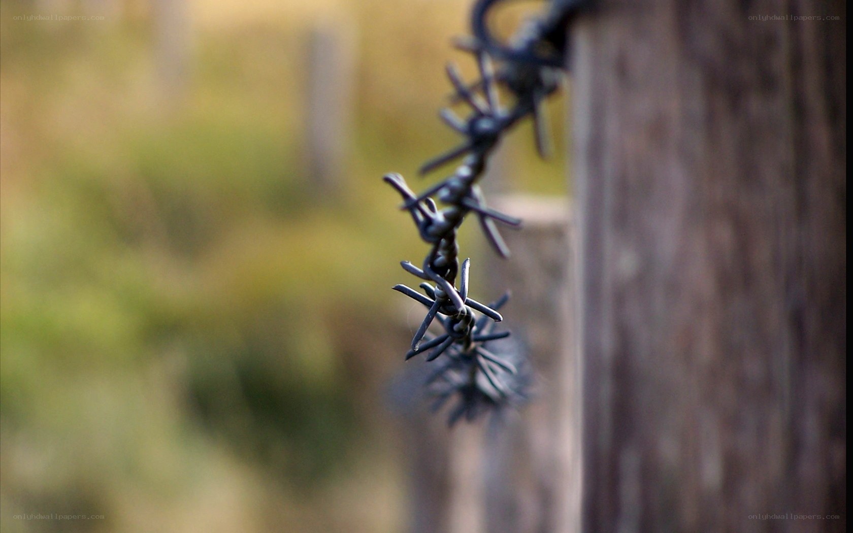 Barbed wire on wooden post