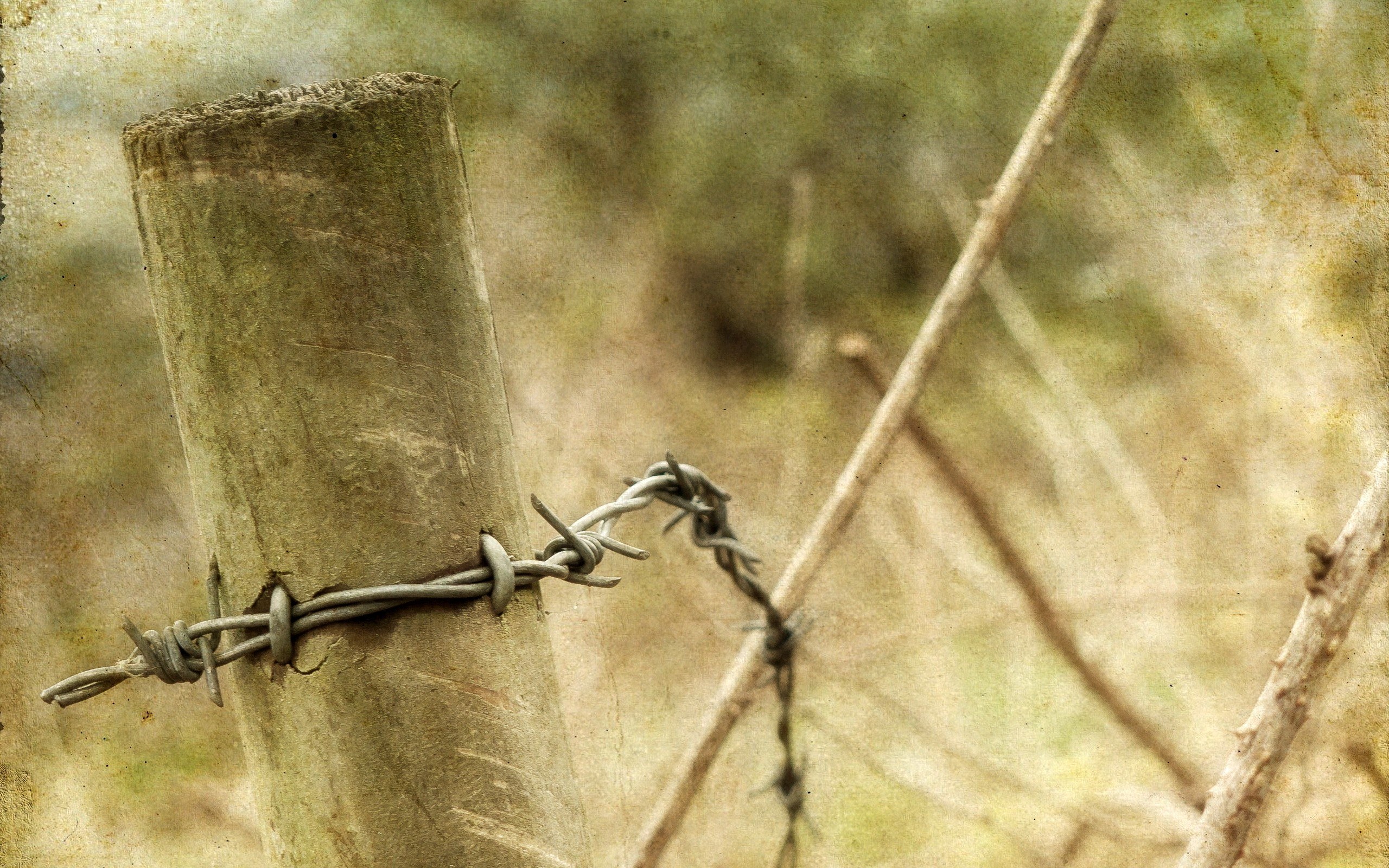 barbed wire on wooden post