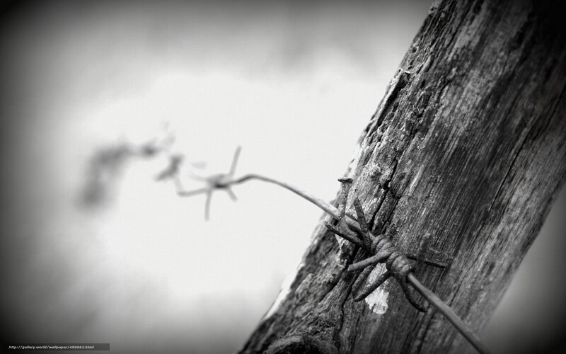 Barbed Wire on Wooden Post — Black